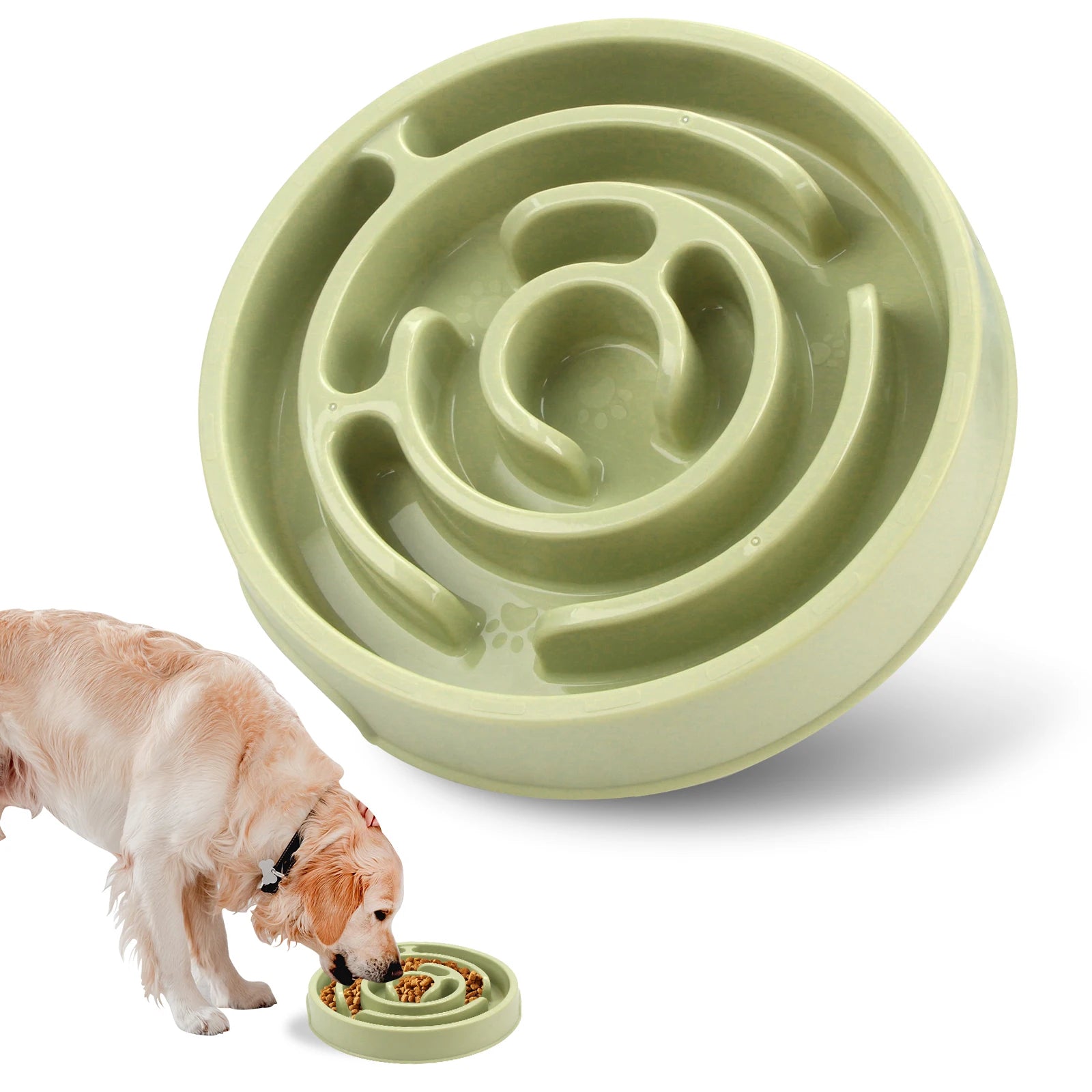 Gamelle anti-glouton pour chiens & chats