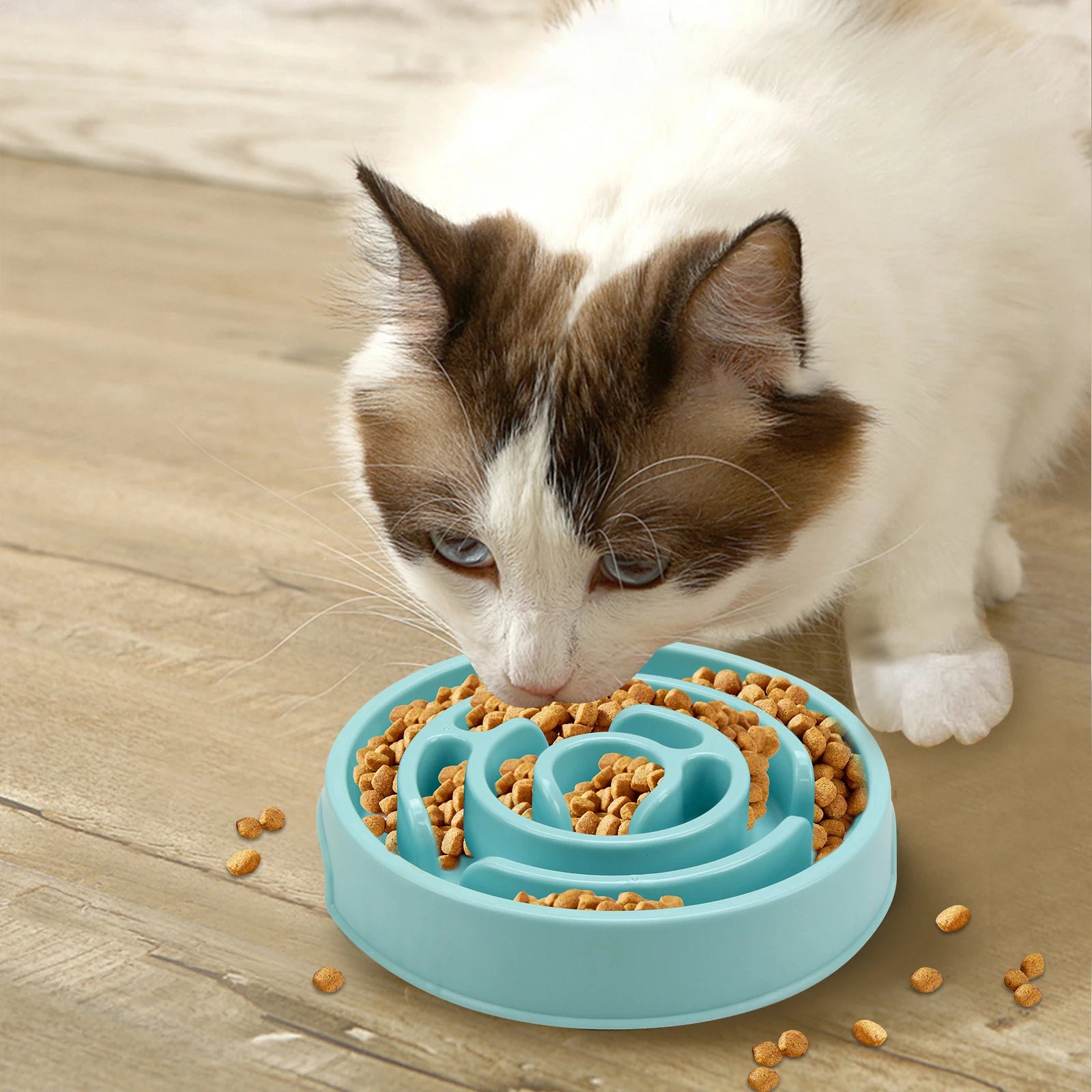 Gamelle anti-glouton pour chiens & chats