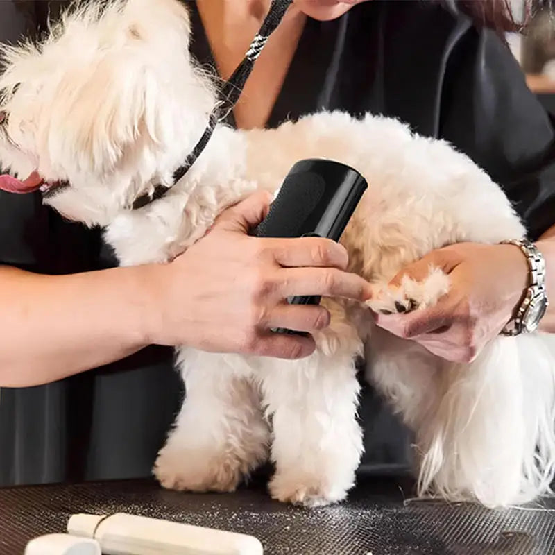 Brosse démêlante pour chiens & chats