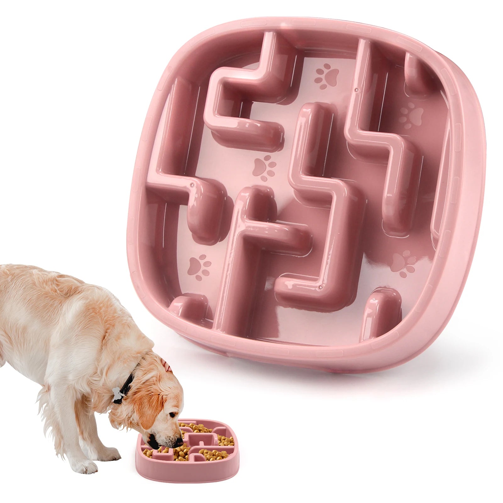 Gamelle anti-glouton pour chiens & chats