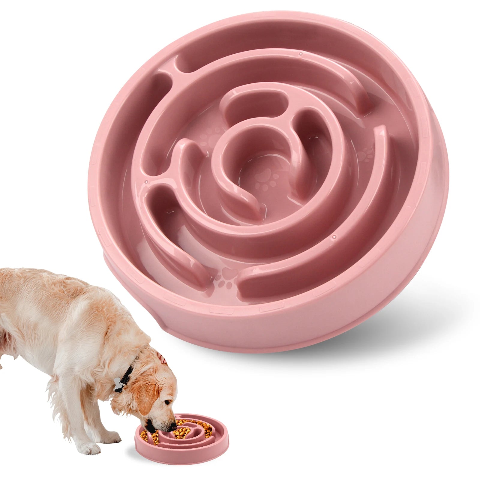 Gamelle anti-glouton pour chiens & chats